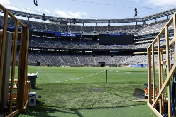 FIFA will sell pieces of World Cup Final grass for $450 each FIFA will sell pieces of World Cup Final grass for $450 each